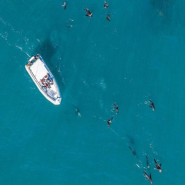 Lancha En El Mar Azul